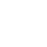 white lensIQ logo