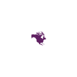 Black Pearl Vision logo